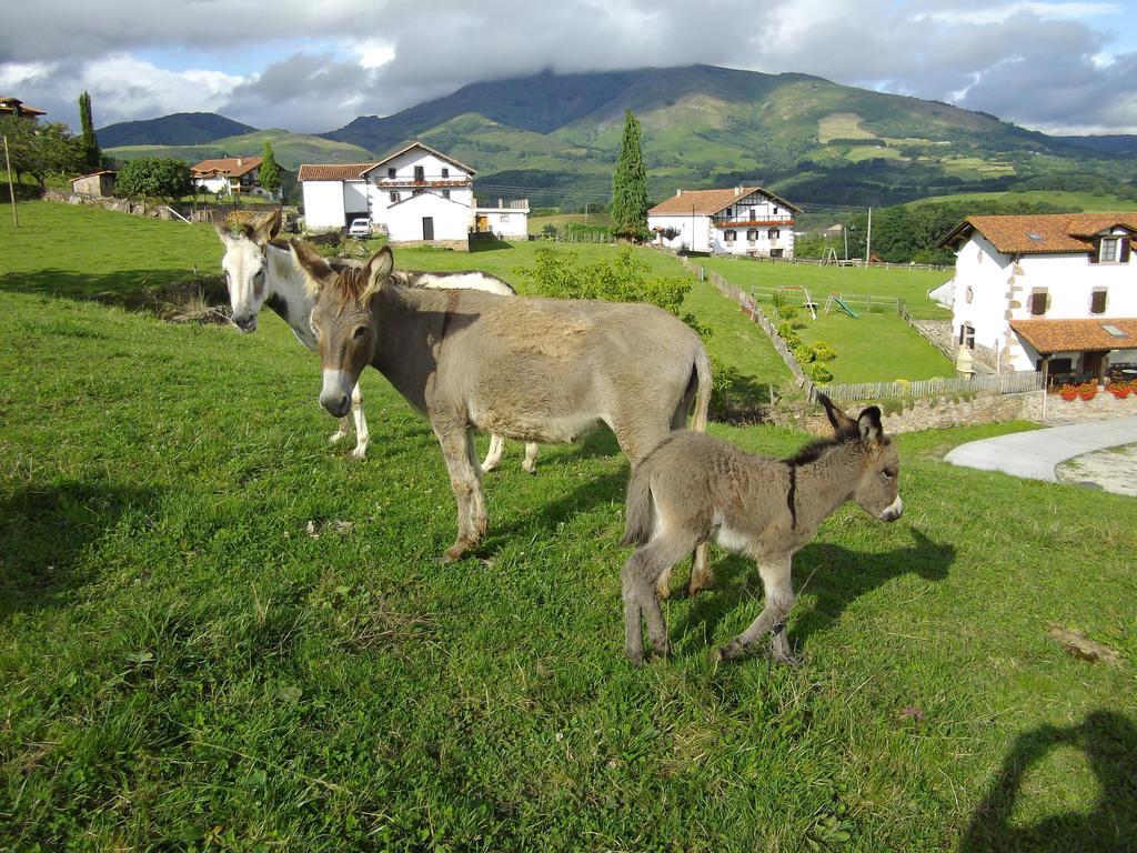 Casa Rural Gananea Zuaztoy de Azpilcueta Oda fotoğraf